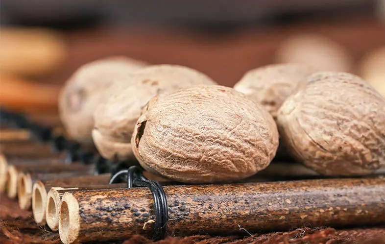 GEKO Food Export Food Business Seasoning Packaging Cardamom Wholesale For Spices