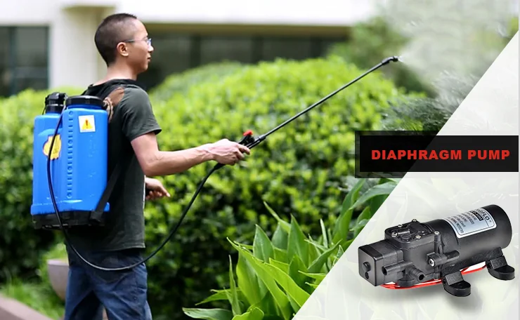  Singflo FLO-2201 12V 24V 2LPM 55PSI маленькие мембранные насосы сельскохозяйственная система разбрызгивания насос