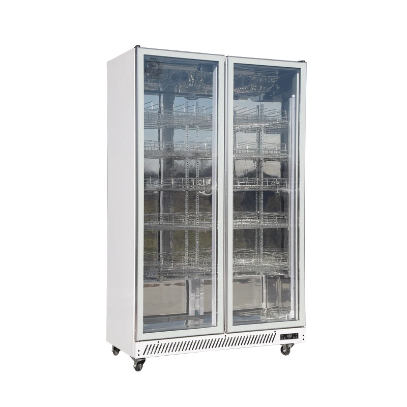 Single-Door 220V LED Light Beverage Refrigerator Glass Display Cooler for Restaurant and Hotel Use Cooling and Chiller Climate