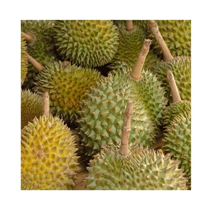 High Quality Durian Fruit From Brunei Wholesale Durian Fresh Durian Frozen Export