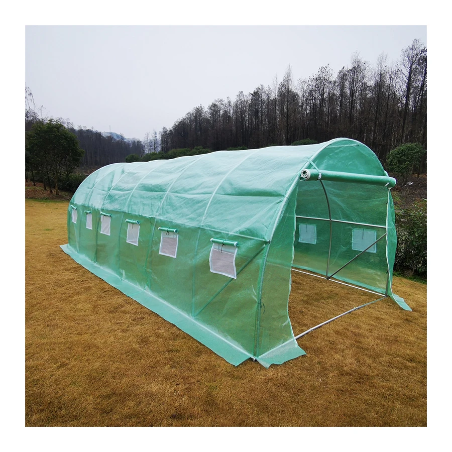 Single Span PE film Cover Plant Growth Grow Tent Hothouse Walk-in Galvanized Small Tunnel Mini Greenhouse