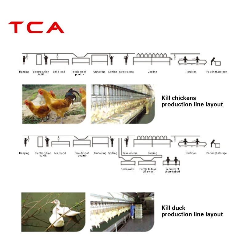 TCA Pig slaughtering equipment butcher saw slaughterhouse equipment cattle slaughter line