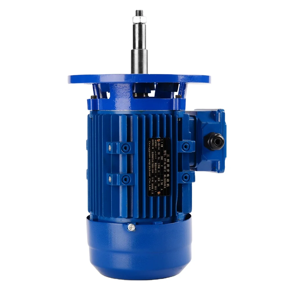 bale Cleaning machine motor Stainless steel shaft Corrosion resistant SUS304 SUS316 Asynchronous motor   manufacturer
