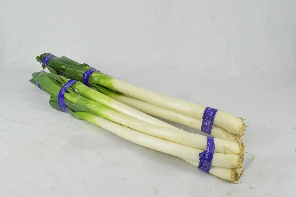 
The Best Quality Organically Grown Natural Green Onions, Suitable for Eating Green Onions 