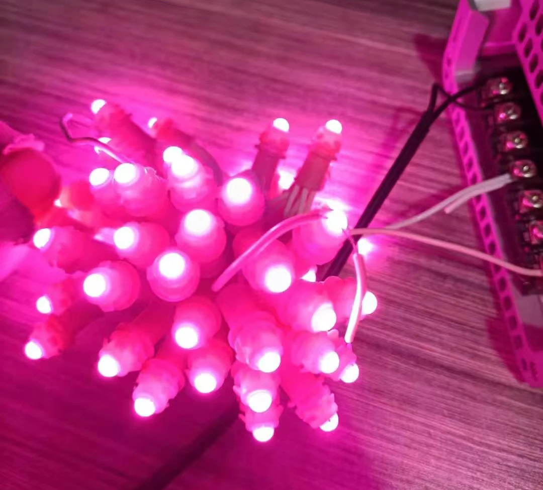 DC12V neon  pixel led twinkle lights string Decor waterproof outdoor club led  lights