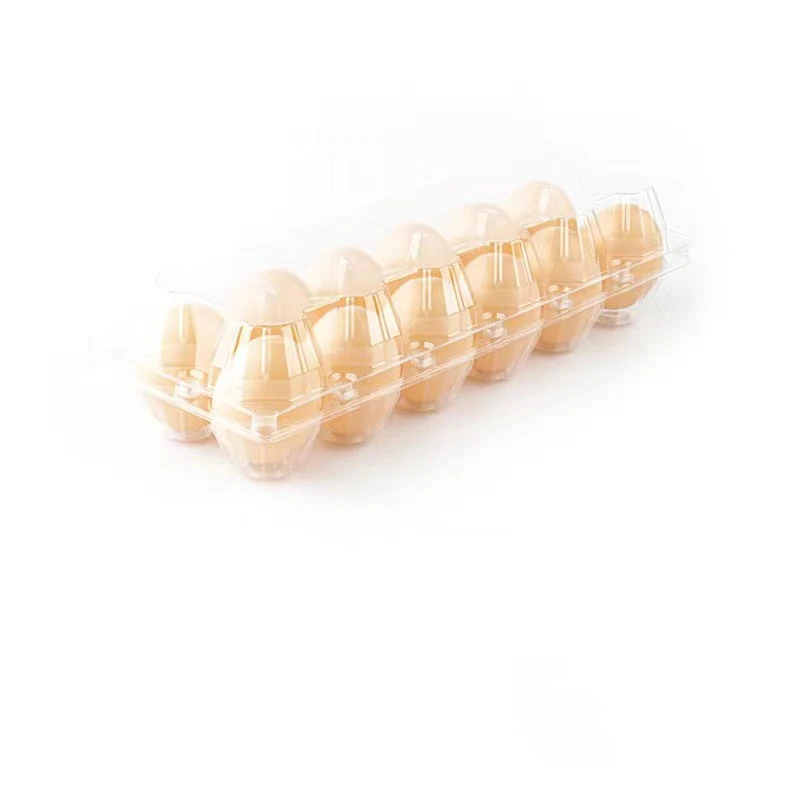 Empty Transparent Disposable Plastic Egg Packaging Box With 4/6/8/10/12 Holes DIY Home Decor