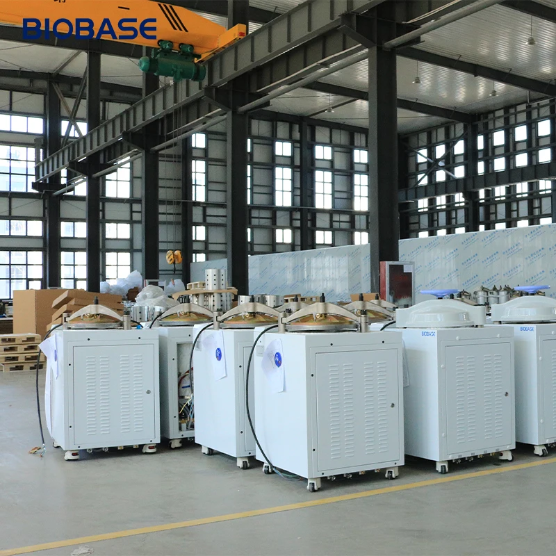 BIOBASE China Dry Heat Sterilizer Hot Air Sterilizer Autoclave Sterilization Machine HAS-T50I