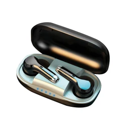 H008 New Arrive Natural Professional Hearing Aids Sound Qualtity Portable Mini Size Memory Function Rechargeable Sound Amplifier