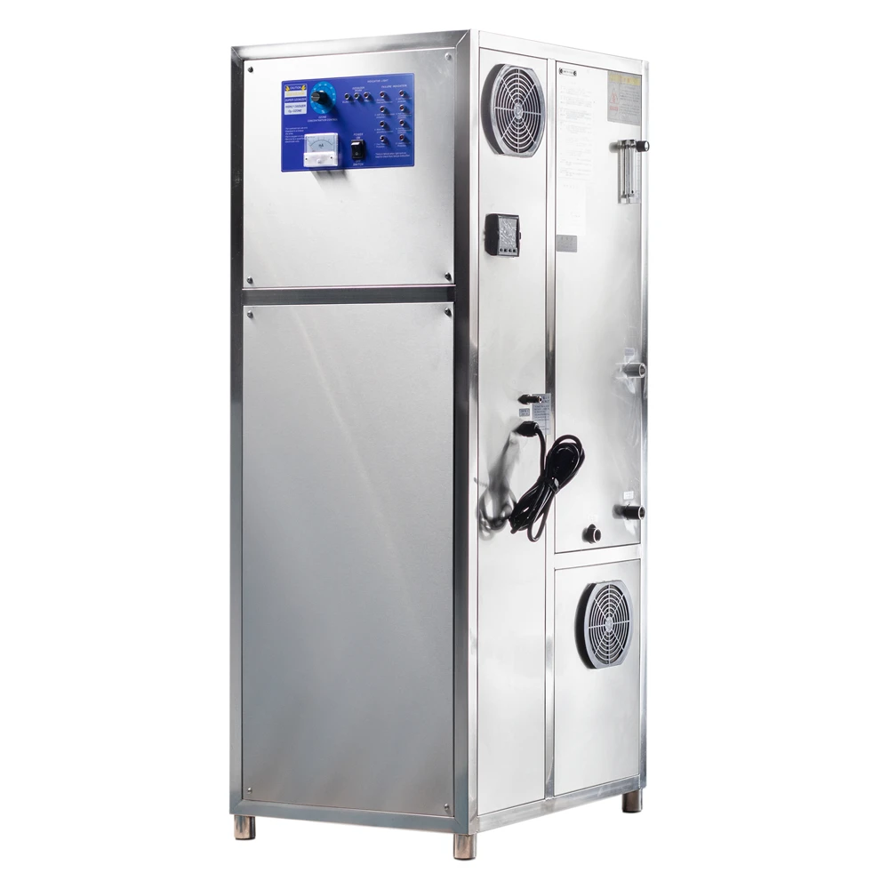 
Factory BNP SOZ-YOW-60g 8lpm industrial integrated water ozone gas generator PSA oxygen concentrator for pool and air treatment 