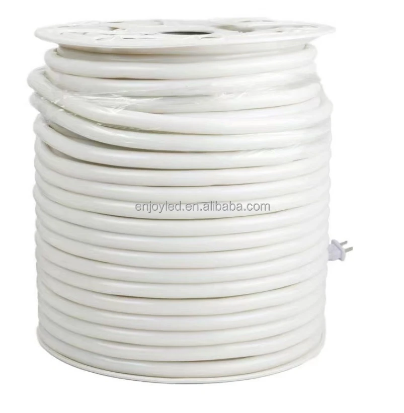 360 degree neon light -34.jpg