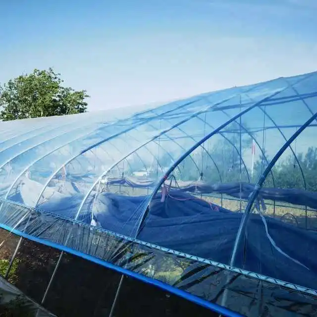 Дешевая Цена по прейскуранту завода 4 мил пластиковая пленка для теплицы огорода