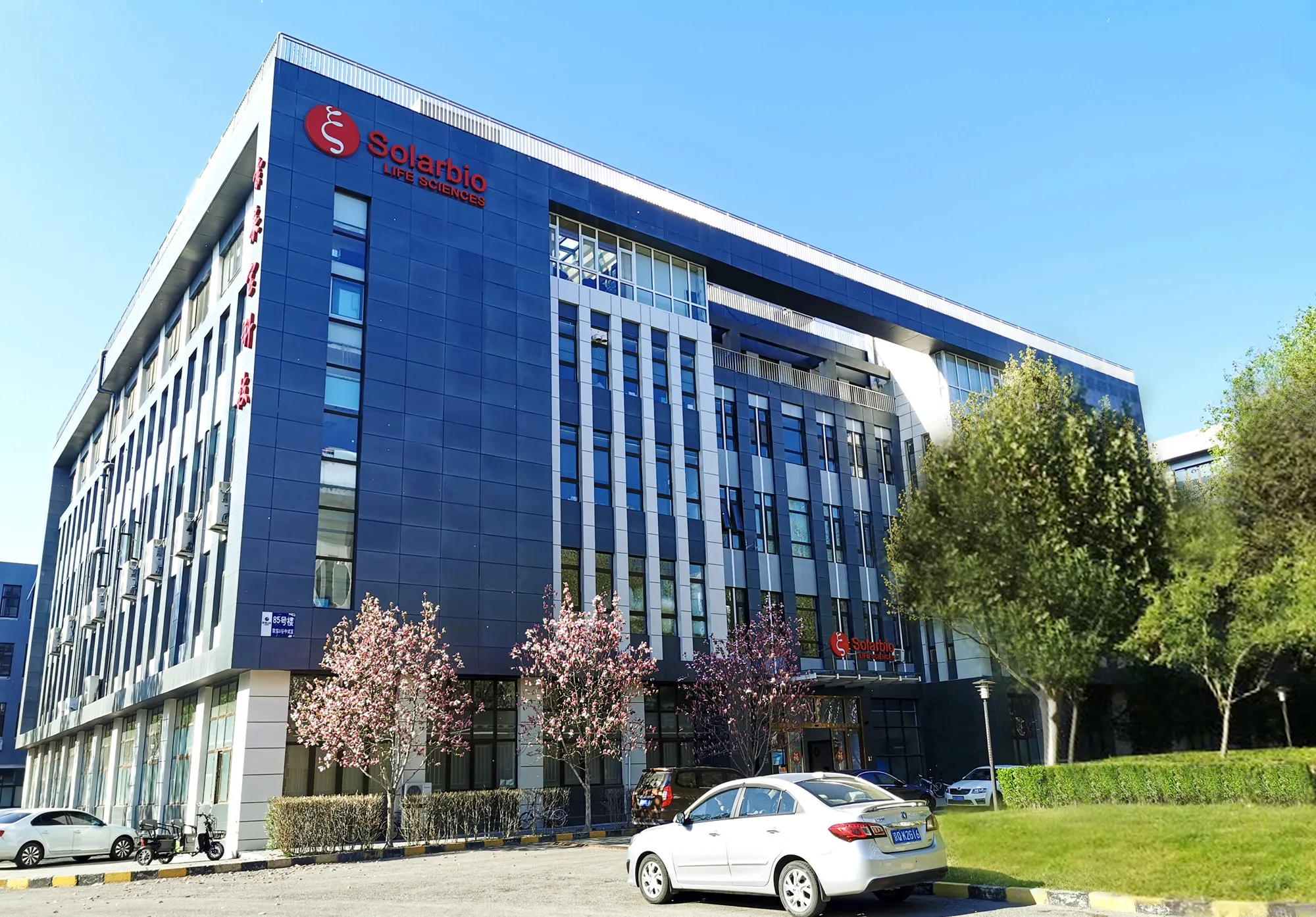 Reference Standards HPLC D-Galactose  CAS 59-23-4