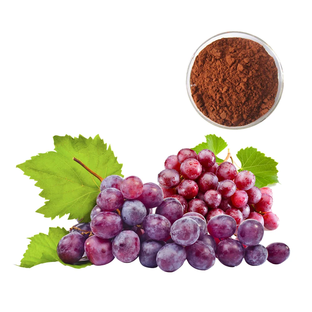 Vitis vinifera L. Экстракт CAS NO. 84929-27-1 чистый экстракт виноградных косточек 95% OPC порошок в порошке