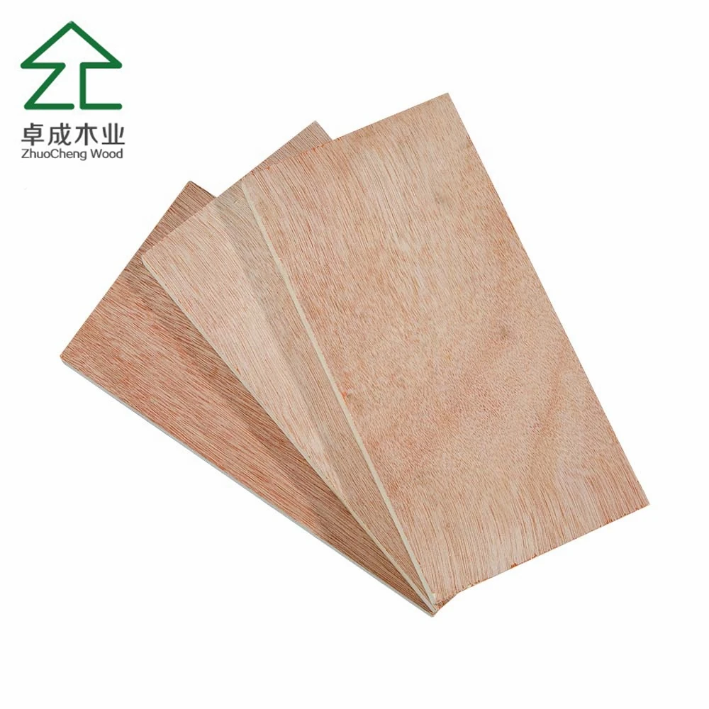 3mm 9mm 18mm Oversize Pencil Cedar Panels Red Hardwood Contre-plaque Plywood Sheets for Europe South America Marketing