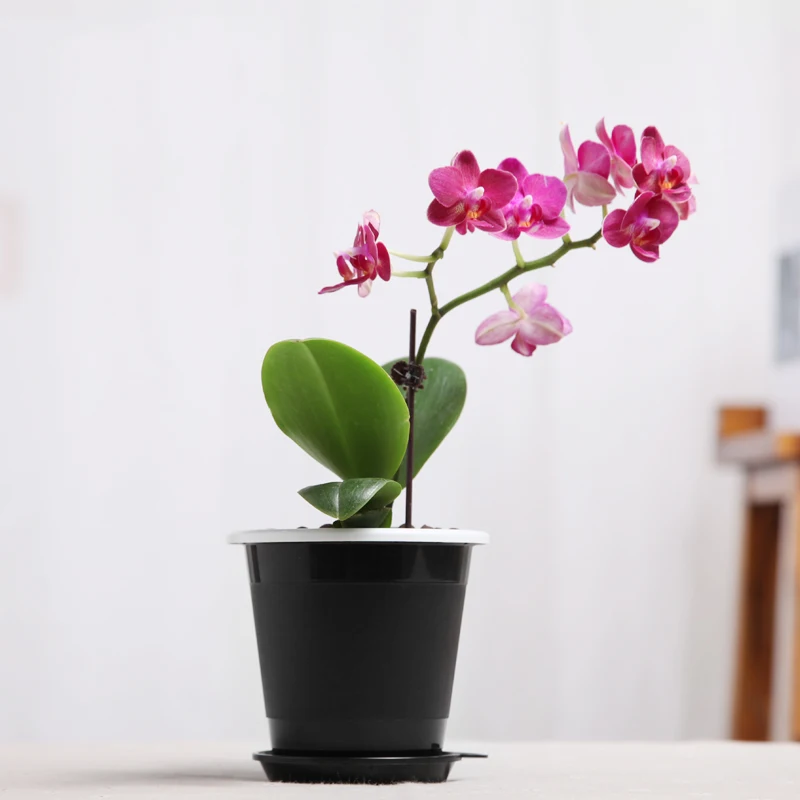 Plastic flower pot with double wall holes for air pruning function garden supplier with tray