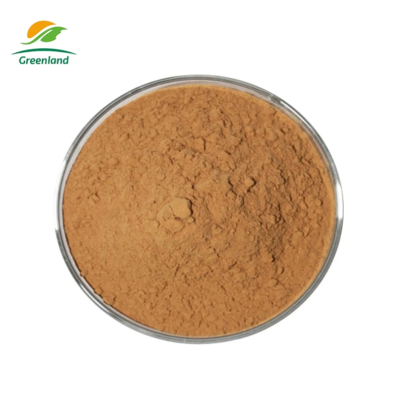 Облепихи Облепиха соотношение экстракт порошок