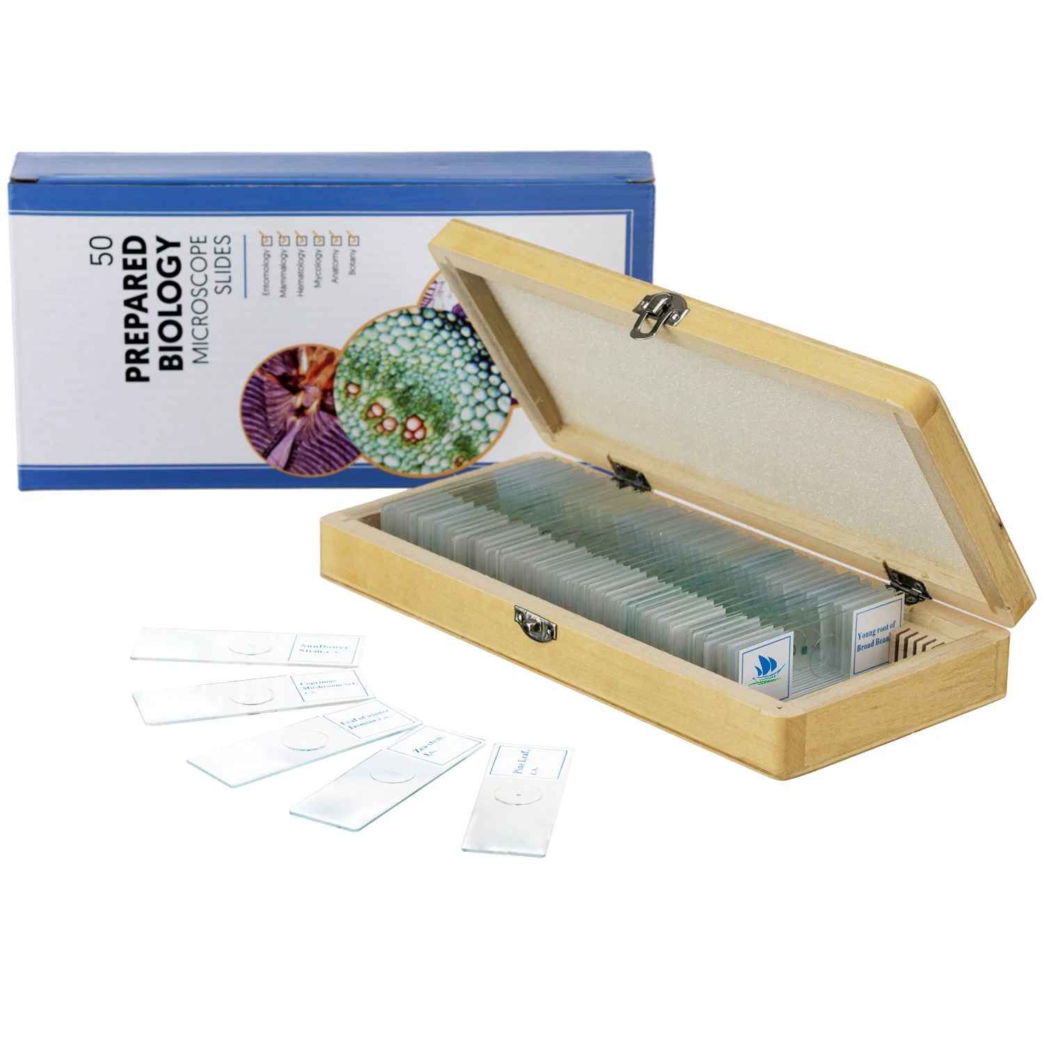Fixed 50 Kinds Prepared Bacterial Microscope Slides For Microbiology Education
