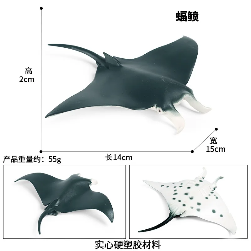 CJJ174 7515.jpg