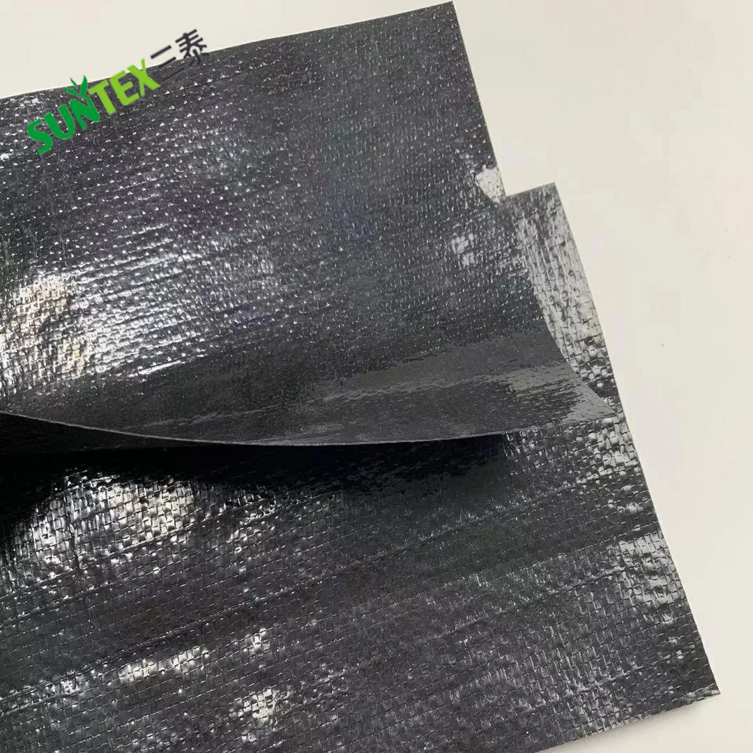 Fish Farming Liner RPE Water Reservoir 0.75mm Geomembranes Pond Liner for Aquaculture