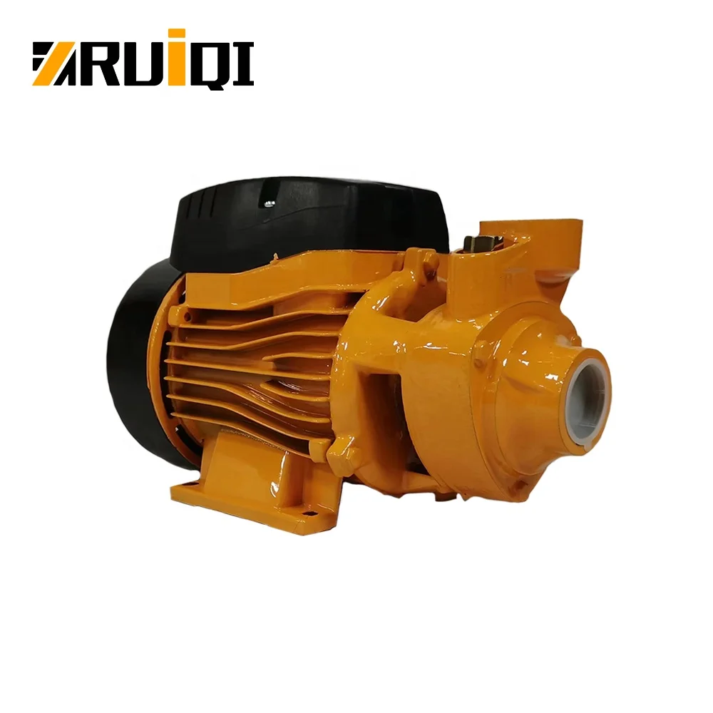 RUIQI Factory Wholesale QB60 0.37kW Electric Motor Pumps Peripheral Vortex Pompa Houseuse Pressure 1/2 hp Water Pump