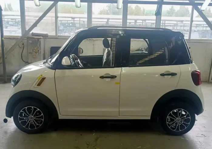 China 4 Seats Electric Scooter With Air Condition Electric car mini