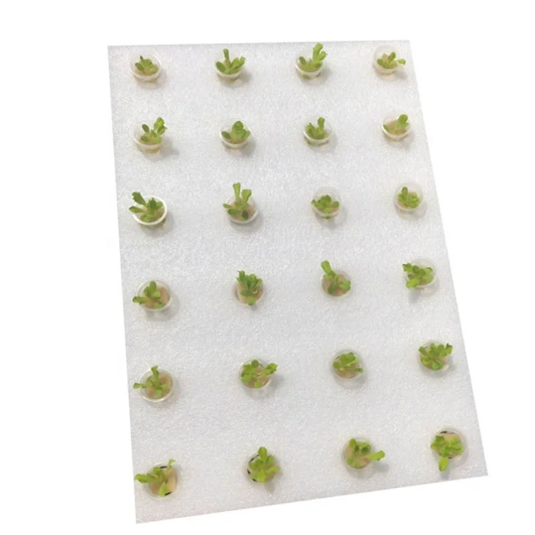 Cultivation equipment hydroponic vegetables with holes hydroponic floating planting plate Aquatic vegetables foam board