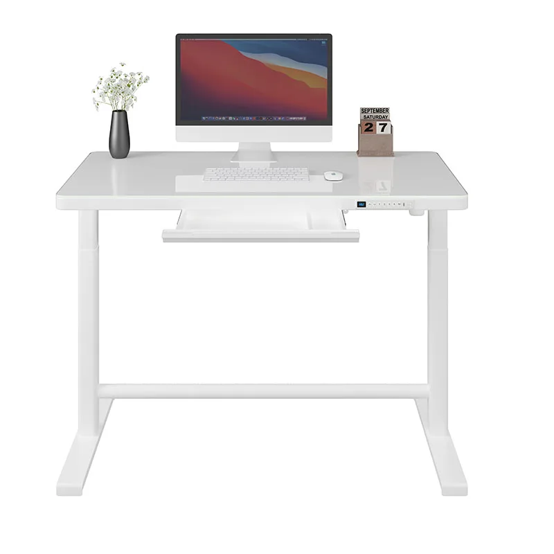 Ergonomic Electric Smart Desk Home Height Adjustable Standing Dual Motor Desk