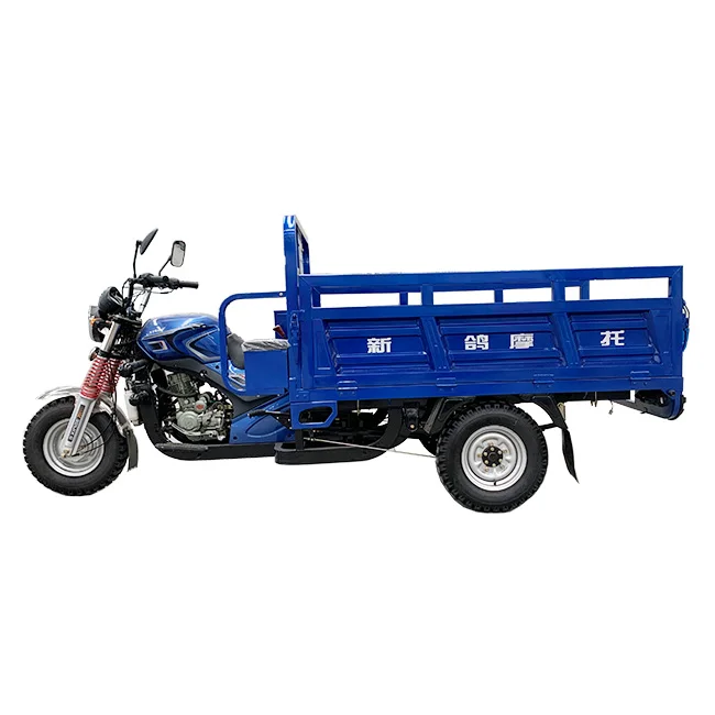 New arrival petrol cargo tricycle trike with plastic cabin for sale
