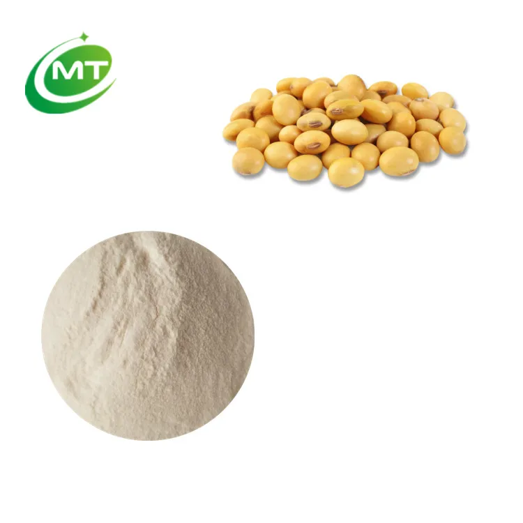Top Quality Bulk Sale Organic Instant Soy Milk Powder