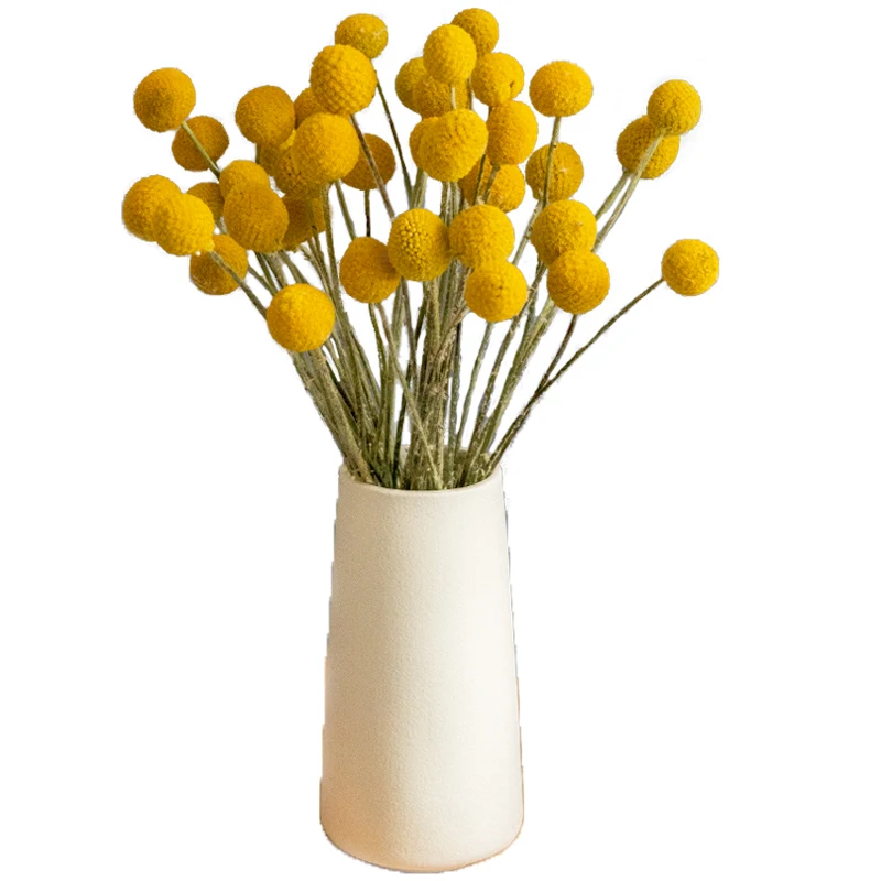 Wholesale Hotselling Yellow Preserved craspedia globosa Flower Billy Balls Dried Craspedia For Decoration