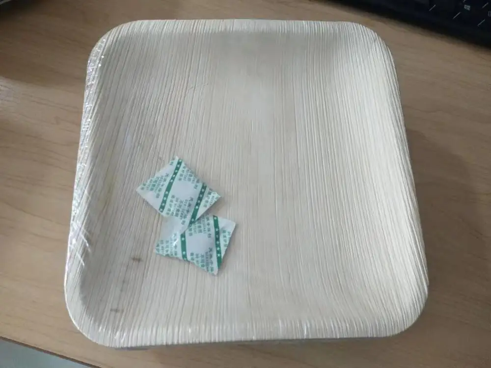 10 Inch Square palm leaf disposable plates for party Compostable Eco Friendly palm leaf plates set biodegradable plate