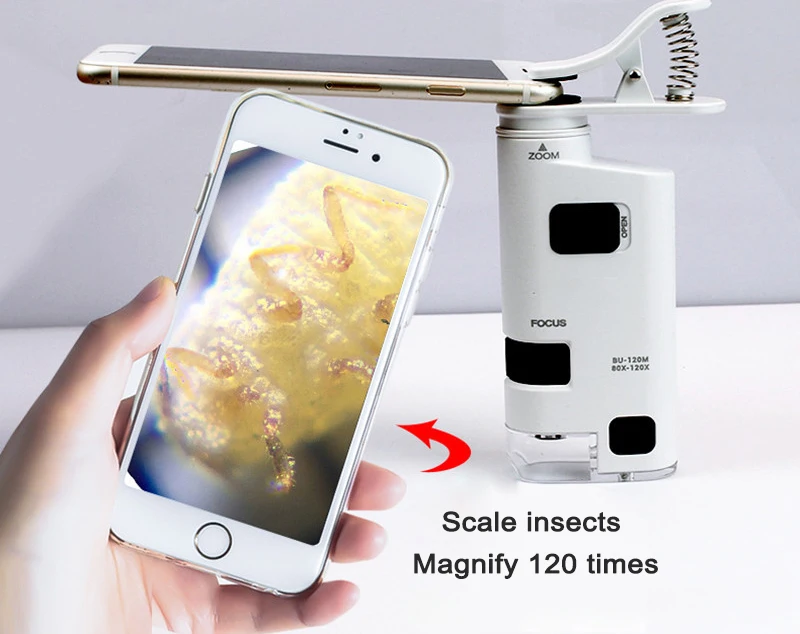 80x-120x mobile phone special high power microscope zoom handheld microscope