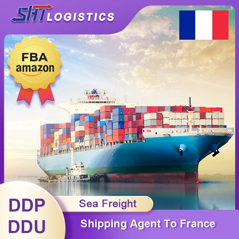 Freight forwarder agent sea ship shipping from ningbo guangzhou china to Germany France Italy