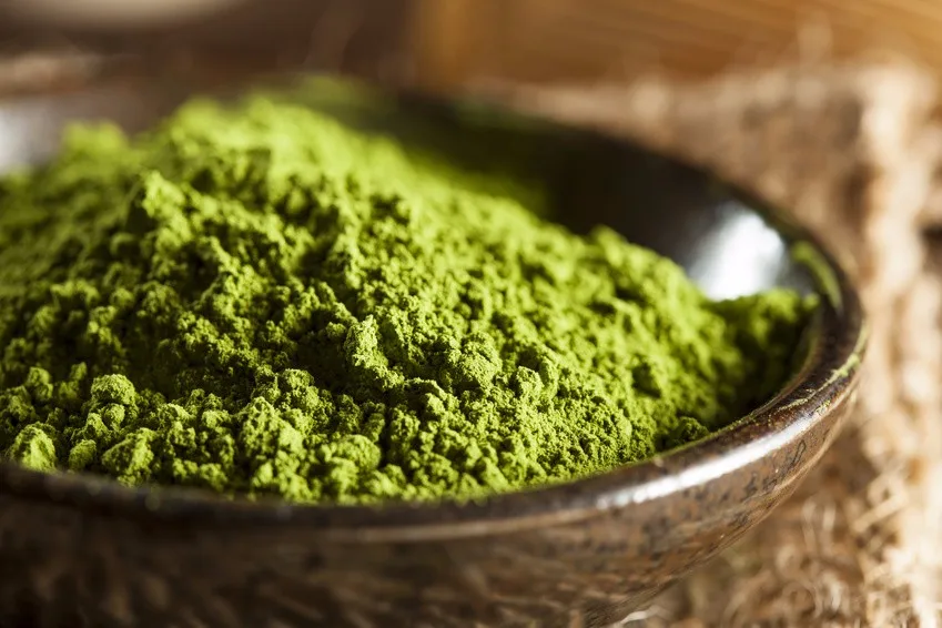 Premium Culinary Instant Matcha Powder with Chocolate Flavor Bulk Orders