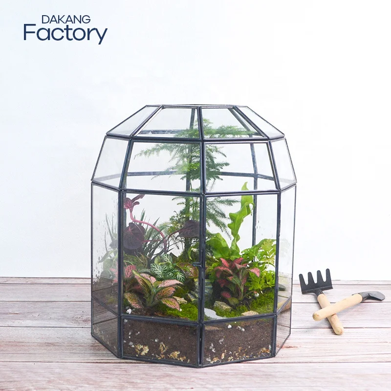 dakang Dome Hanging Plant Geometric Reptiles Do Terrarium Glass For Plants Kit Containers Miniature Wholesale With Lid