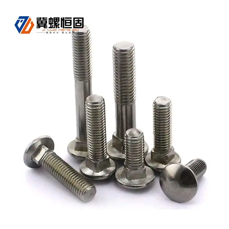 China OEM Stainless Steel Door Hardware Carriage Bolt screws
