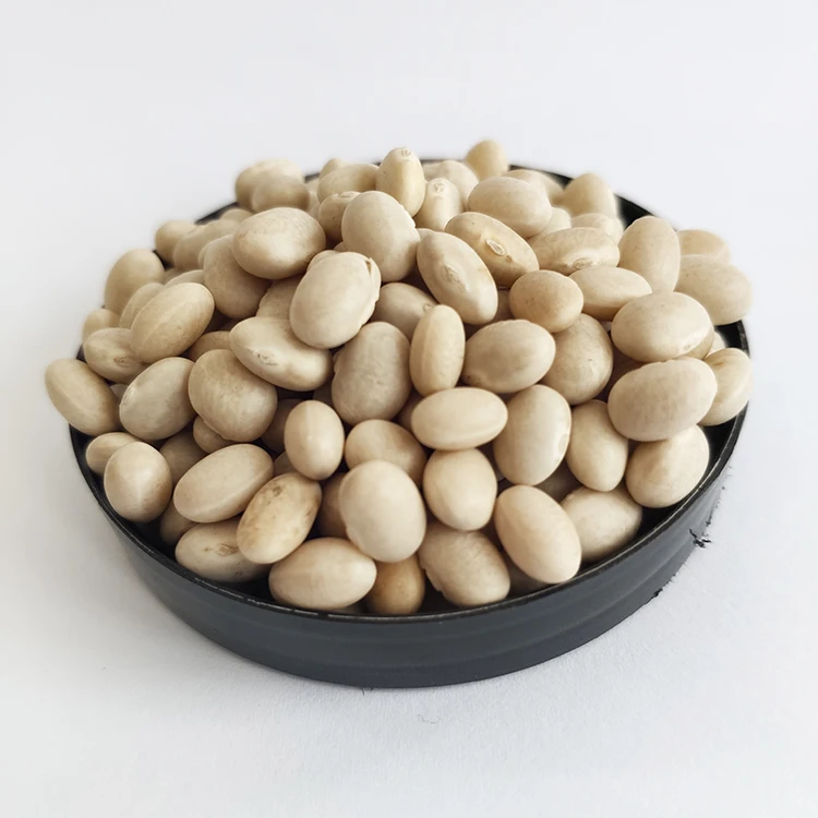 Wholesale Chinese Low Price White Navy Kidney Beans