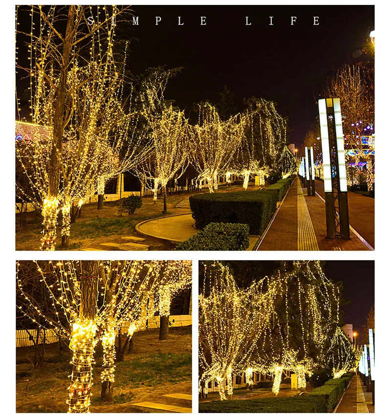 LED string light (16).jpg