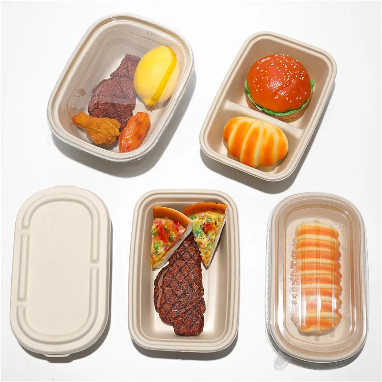 Biodegradable Compostable Sugarcane Sugar Cane Bagasse Pulp Molding Disposable Takeaway Packaging Food Tray With Lid