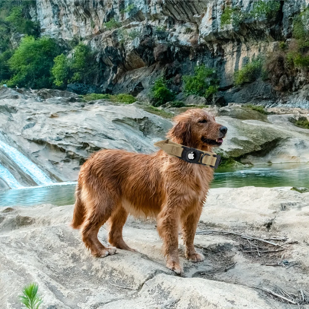 Wholesale Personalized GPS Tracker Air Tag Dog Collar Adjustable Nylon Heavy Duty Airtag Training Tactical Pet Collars For Dog