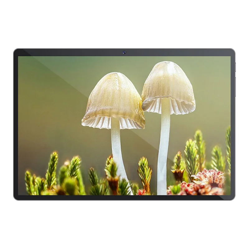 Factory Wholesale Tablet 10.1 Inch octa core 4gb Ram 64gb Rom Android 8.1 Tablet Pc 4g/wifi with Dual Sim Card 1200*1920 IPS