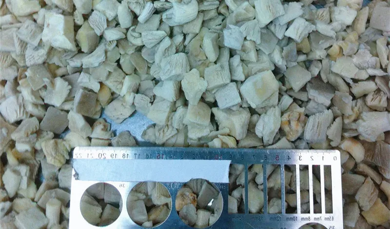 Hot selling IQF Fresh premium mushroom frozen oyster mushroom