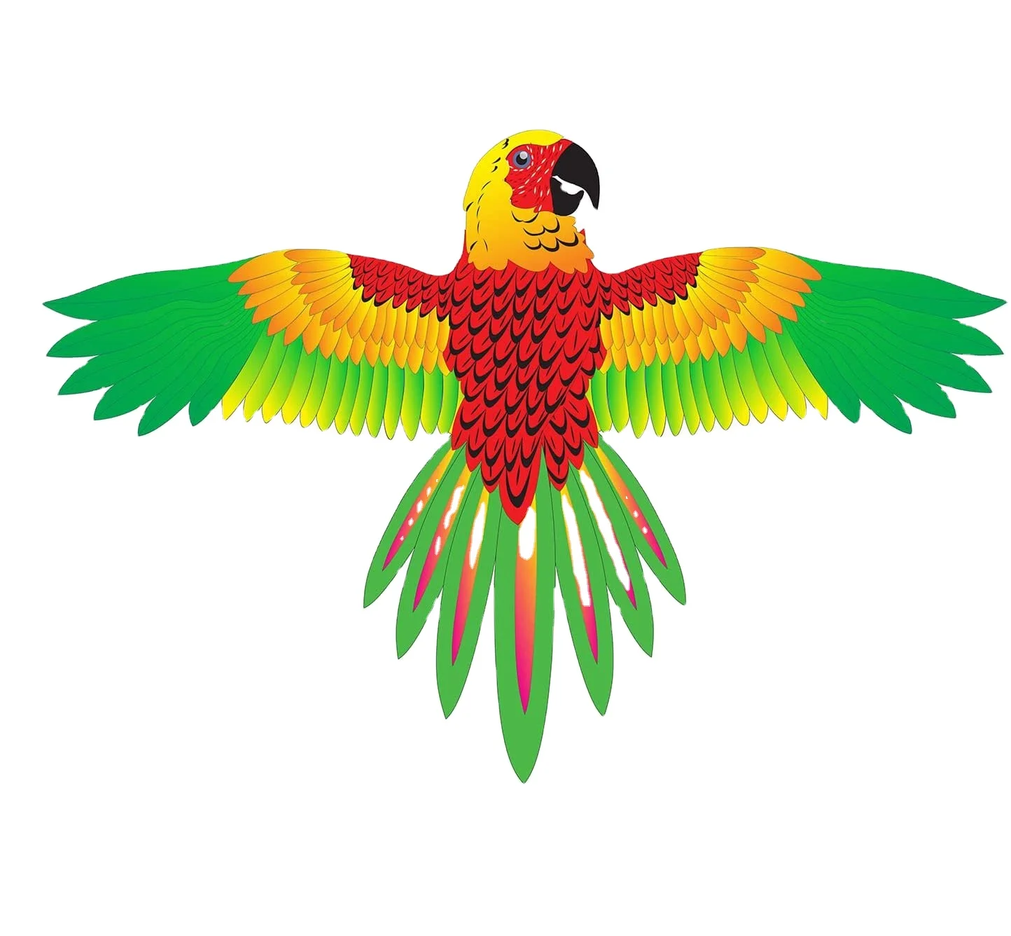 Colorful parrot kite   Macaw kite
