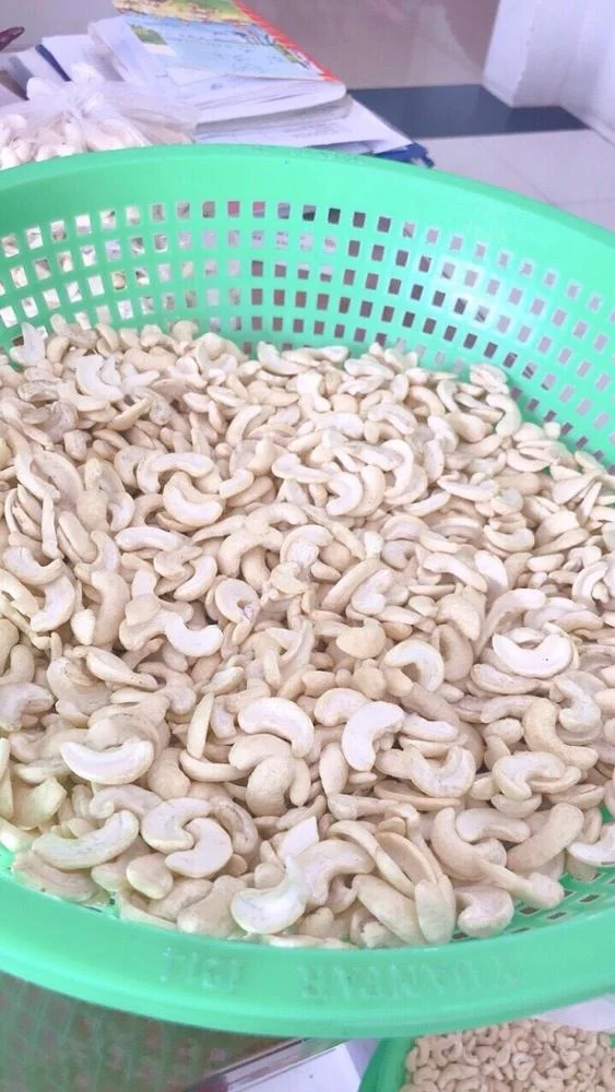 
VIETNAM CASHEW NUT ORGANIC BROKEN PIECES 
