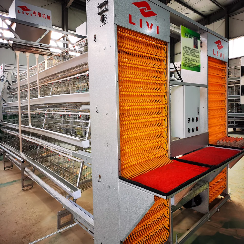 Uganda Poultry Farm Automatic Poultry Chicken Layer Breeding Cage