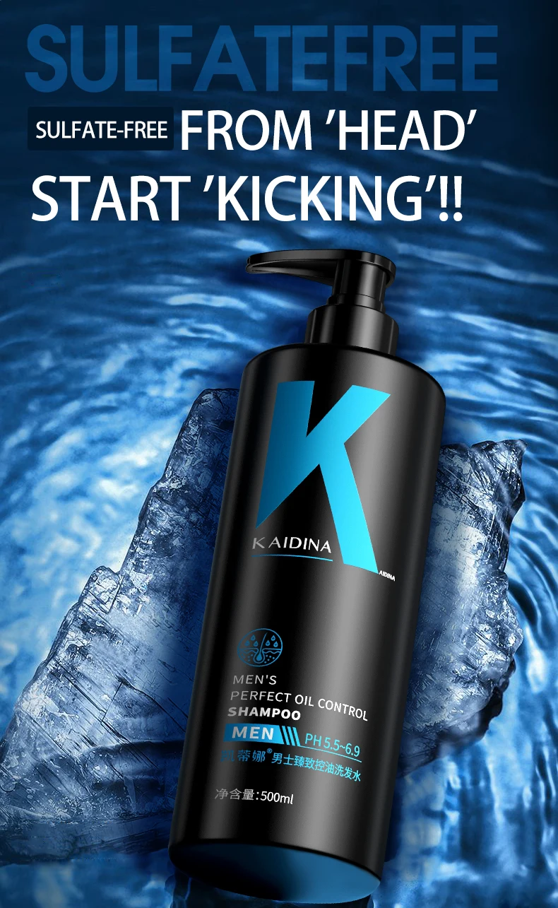 Private Label Hair Shampoo Conditioner Set Pure Organic Sulphate Free Moroccan Argan Oil Shampoo Morocco OEM Bottle Anti Age