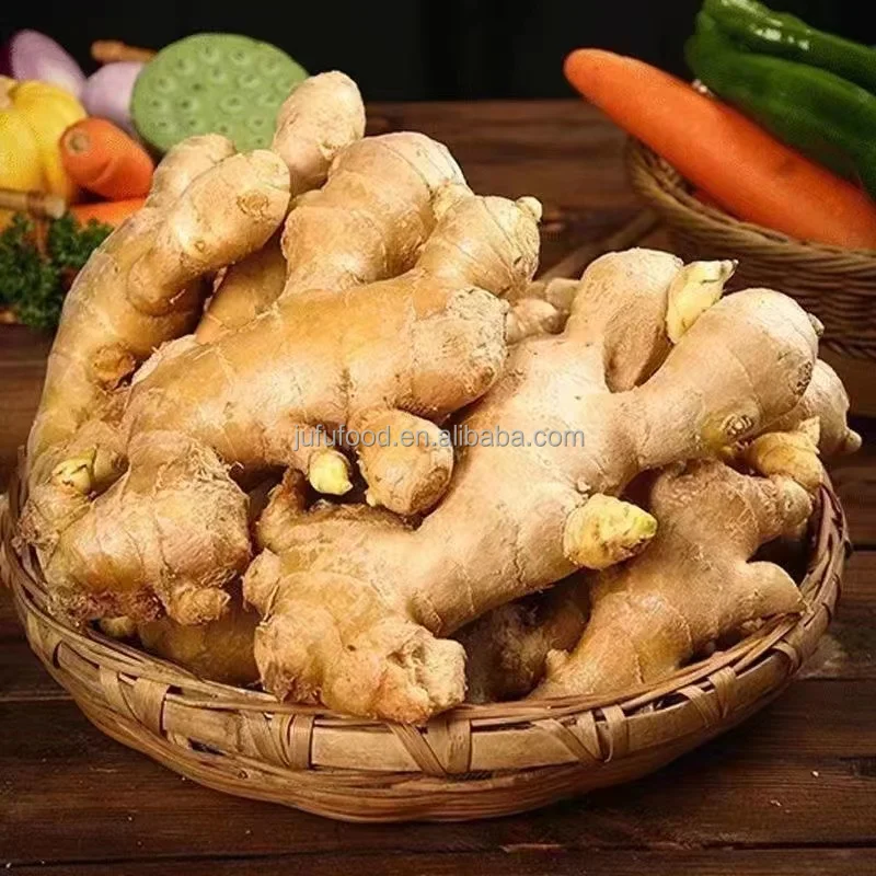 ginger in carton ginger for sale