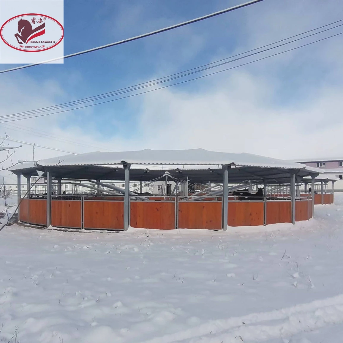 CE CERTIFIED Horse Walker Machine for hot sale Bamboo HDPE Fencing Italy Motor