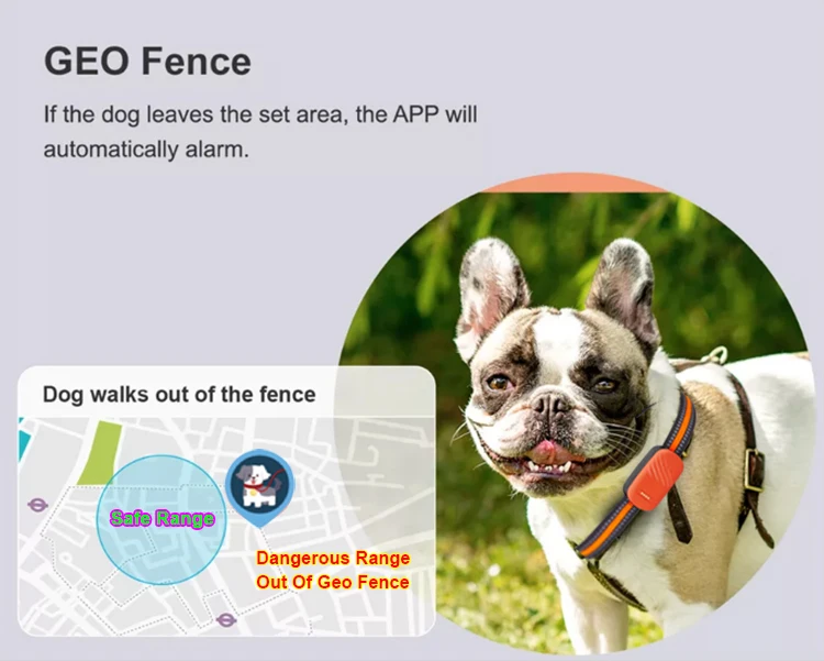2024 New Smart  Keychain Wallet Luggage Loss Prevention App-based Waterproof Dog Collar Mini 4g Smart Pet GPS Tracker Collar