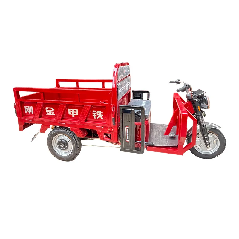 New Type Electric Cargo 3 Wheel Electric Motorcycle Tricycle Electric Bike With Rain Cover